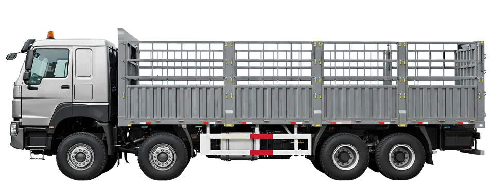 Cargo Lorry Truck