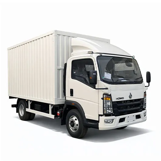 Howo TX Customizable Cargo Van
