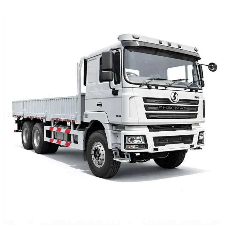 SHACMAN F3000 CARGO TRUCK