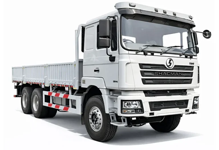 SHACMAN F3000 CARGO TRUCK