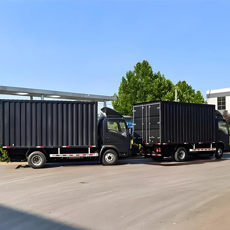 Howo TX Customizable Cargo Van