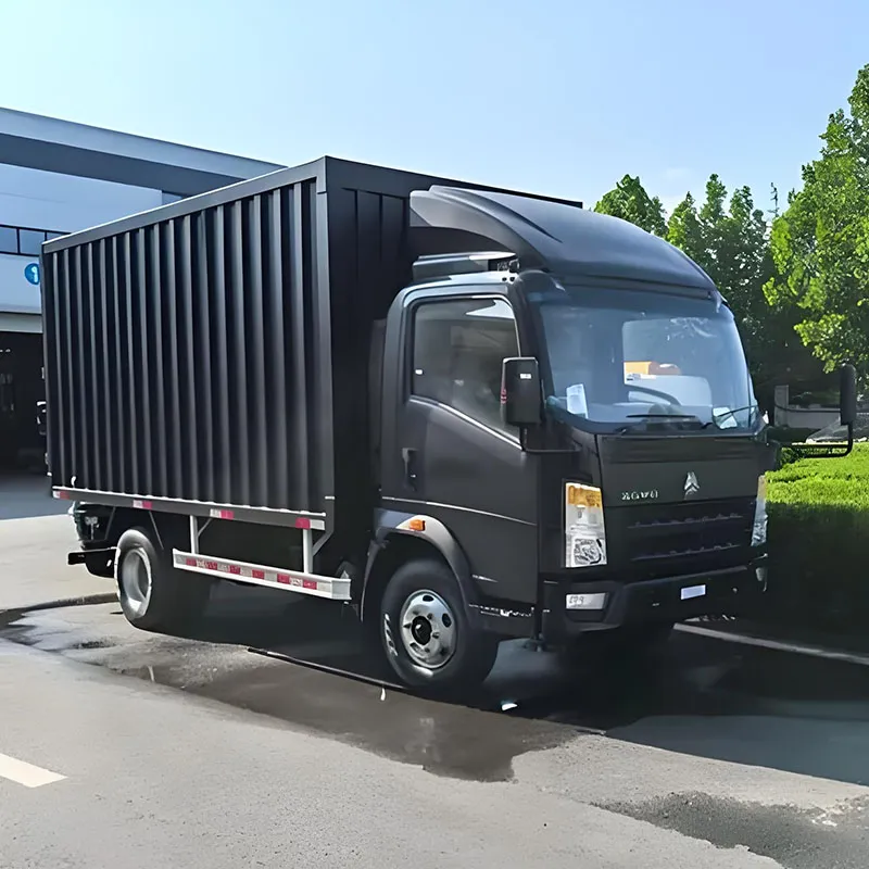 Howo TX Customizable Cargo Van