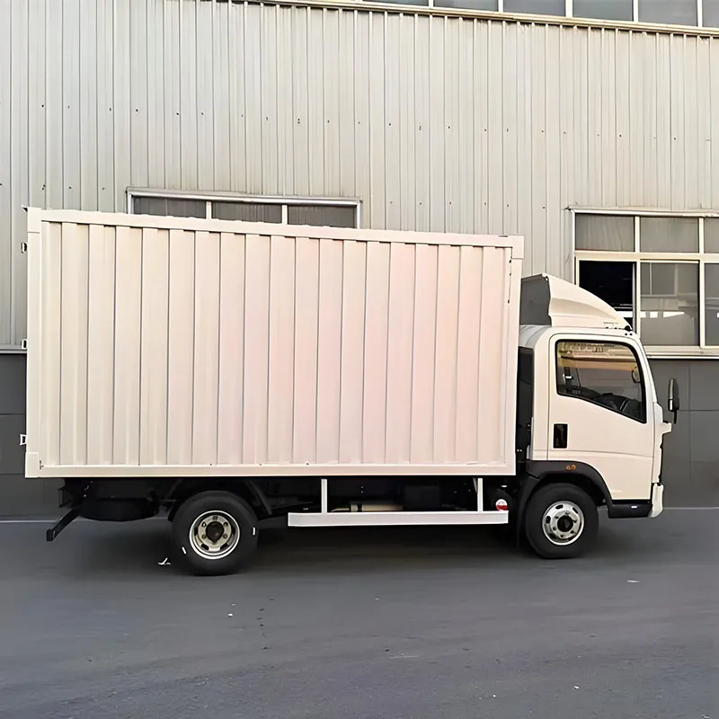 Howo TX Customizable Cargo Van