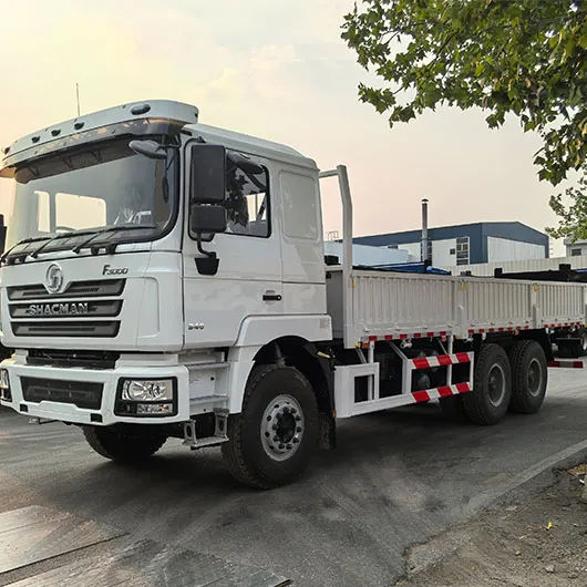 SHACMAN F3000 CARGO TRUCK